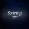 Vyper - Soaring - Single